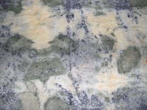 Copper and Rust Mordanted Wigelia