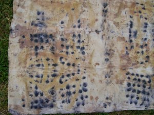 Previously printed cotton clamped between plates