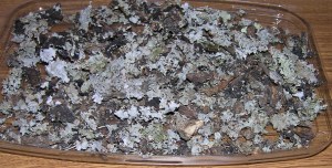 I lichen it