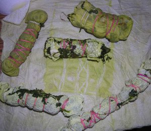 deadnettle day2a copy