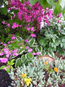 Under the Dogwood janicepainedawes.com