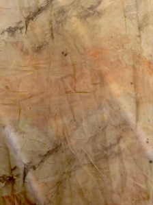  Habatoi scarf wrapped around black locust pods. The rusty red was extracted from the pods. A pleasant surprise.